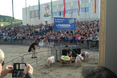 IMG-20191012-WA0011