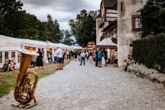 20220801-Bundesfeier-Schloss-Hegi-63-von-66